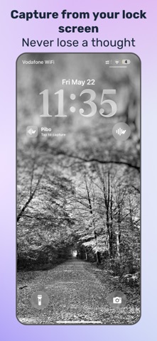 Pibo screenshot