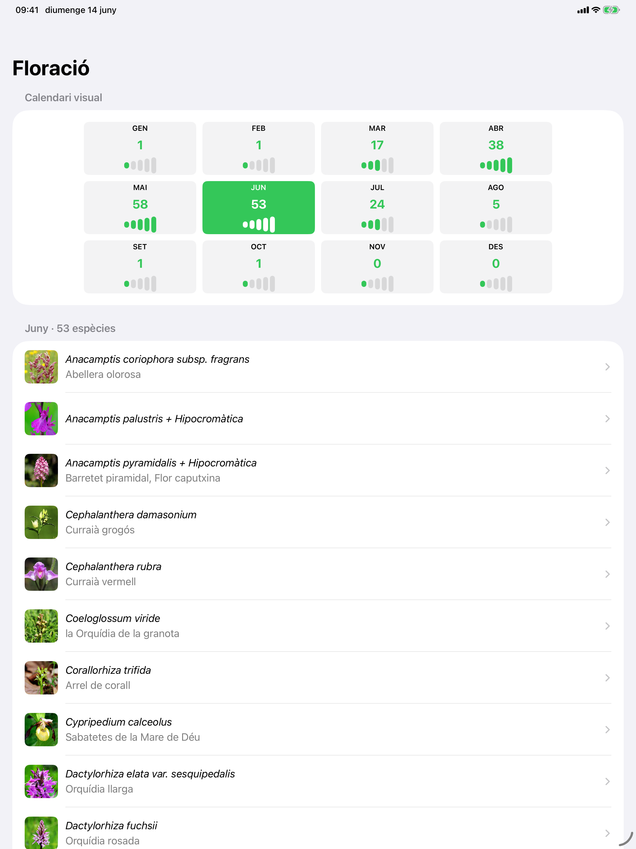 OrchisCAT screenshot 7