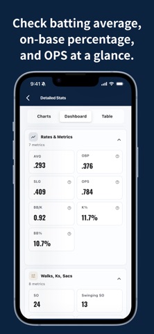 Baseball Batting Stats screenshot