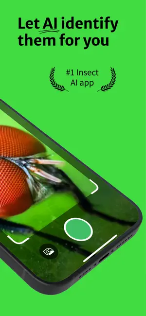 Bug Identifier - Insect AI screenshot 2