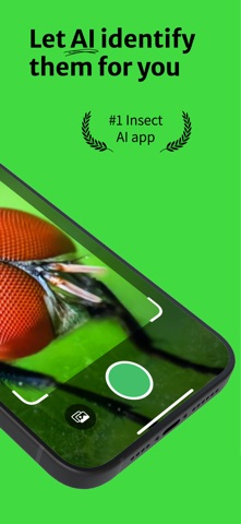 Bug Identifier - Insect AI Screenshot 2 of 6