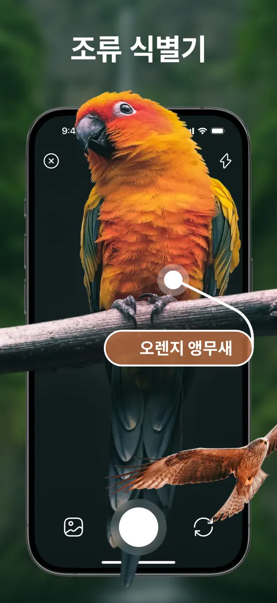 Bird Identifier & Guide screenshot 1
