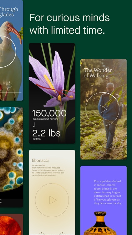 Humane Space: Daily Curiosity