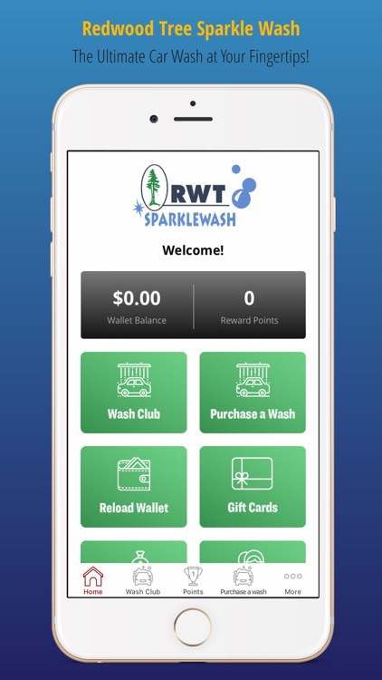 Redwood Tree Sparkle Wash