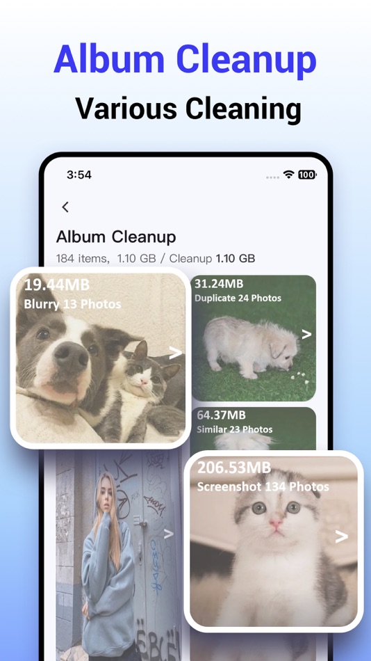#8. Palm Cleaner-Clean up Storage (iOS) 由: Tianjin Leeryou Technology Co., Ltd.