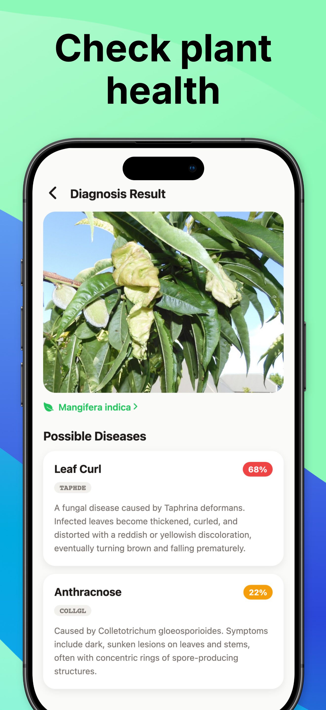 Tree Identifier・Plant ID screenshot 4