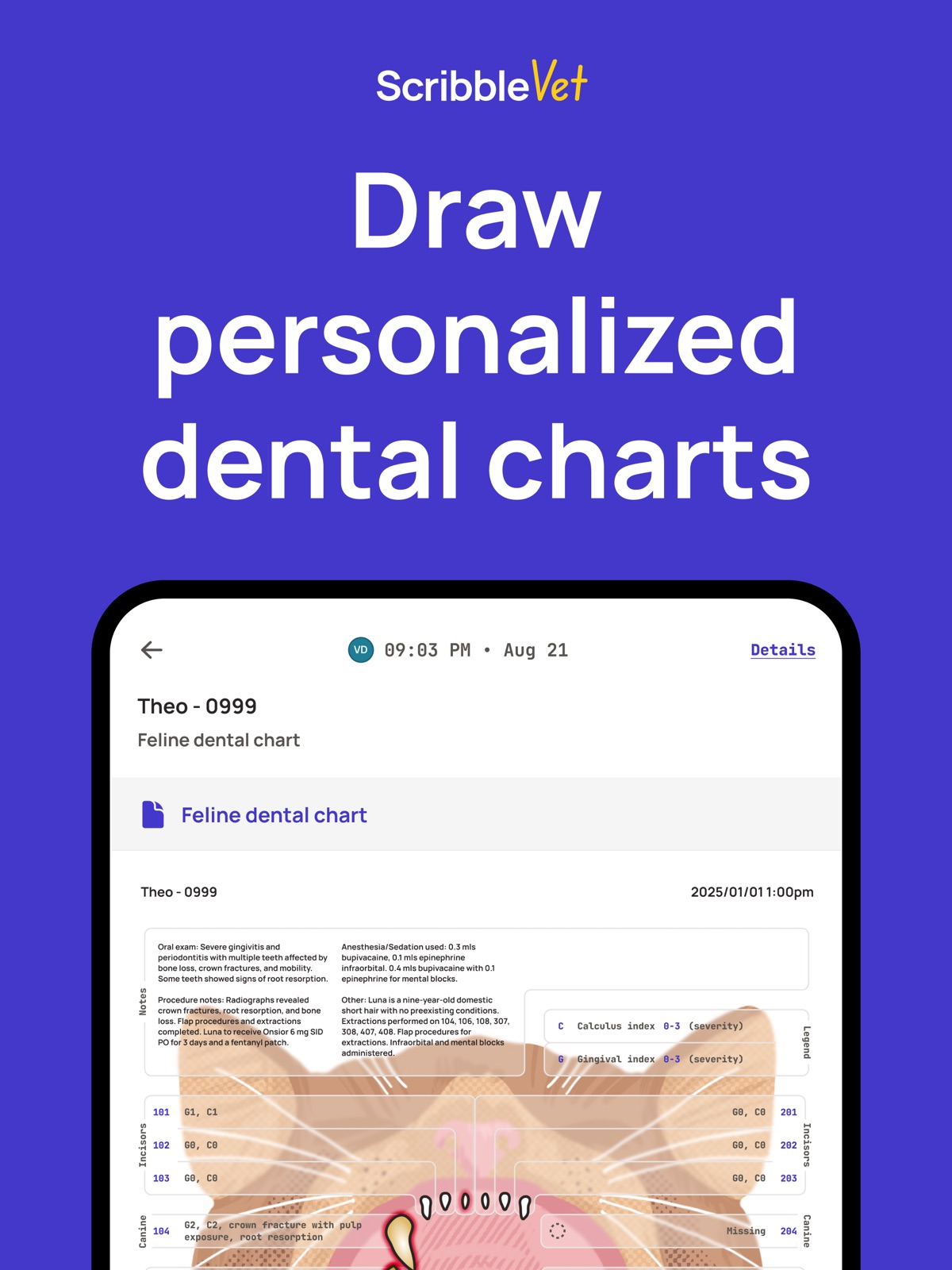 ScribbleVet – the AI Scribe ipad screenshot 3
