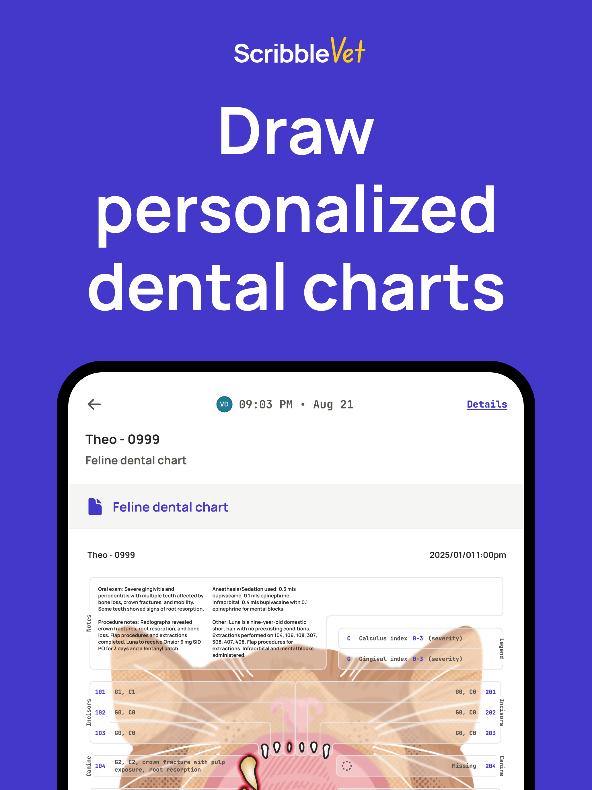 ScribbleVet – the AI Scribe