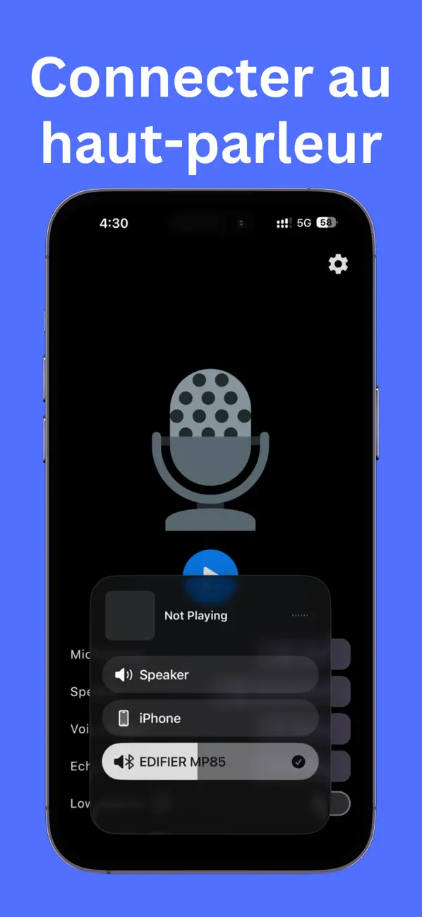 Screenshot #2 pour Microphone - Megi