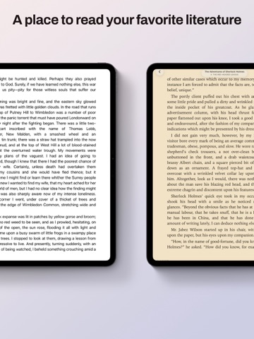 Flumen: eBook Reader ipad screenshot 4