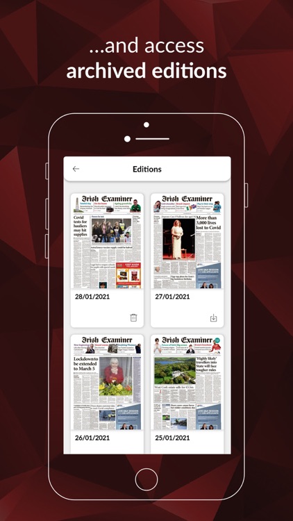 Irish Examiner ePaper screenshot-4