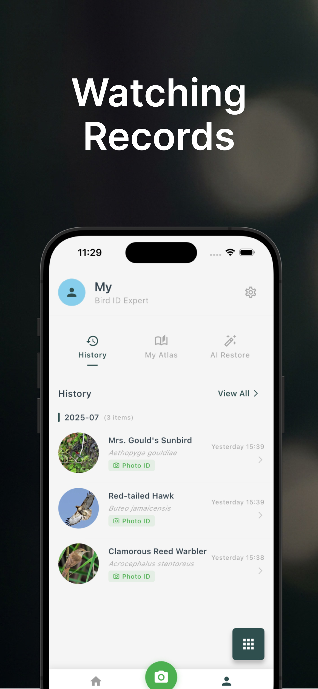 BirdLens: Bird Identifier