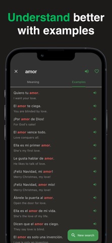 Wey: Mexican Dictionary Screenshot 4 of 5