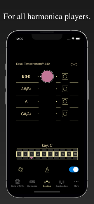 Harmonica Bending Trainer+ Screenshot 1 of 7