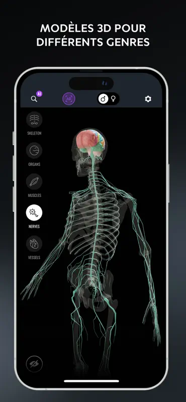 Human Anatomy Atlas: Skull 3D screenshot 5 of 6