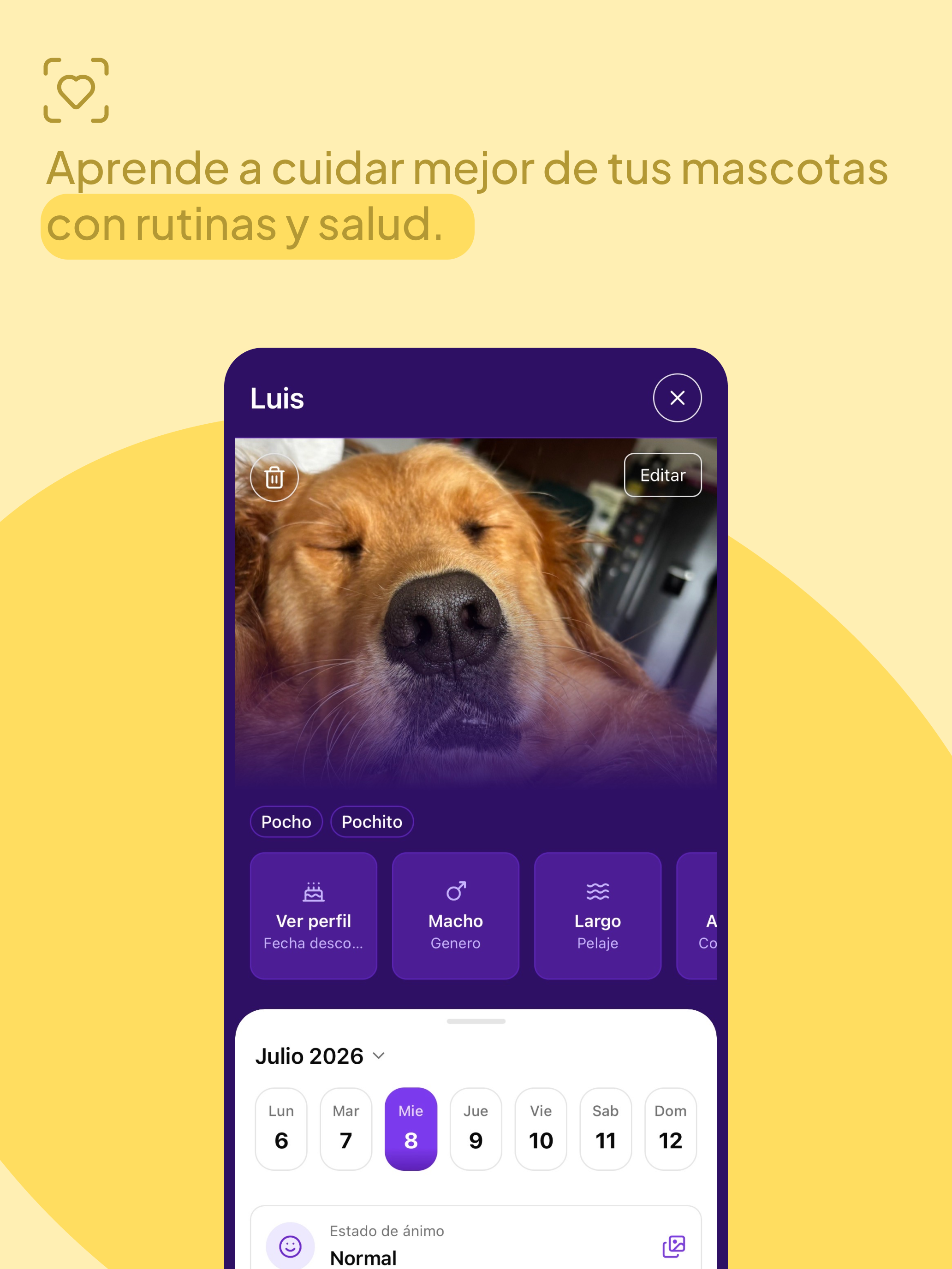 Amigable Mascota screenshot 9