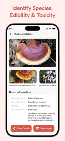 Mushroom Identify Screenshot 5 of 6