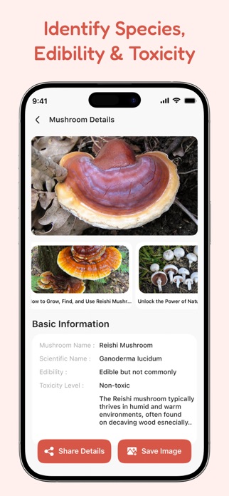 Mushroom Identify Screenshot 5 of 6