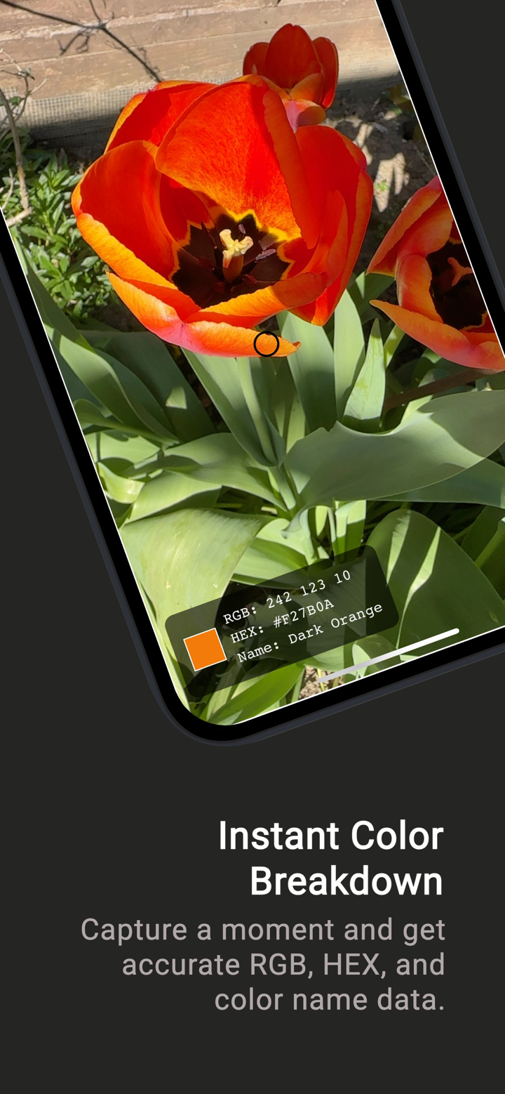 Name That Color screenshot 2
