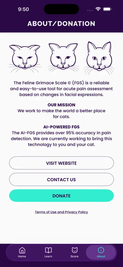 Feline Grimace Scale screenshot 5