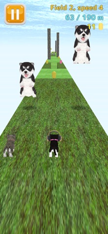 Cat Run - kitten running game app screenshot 3