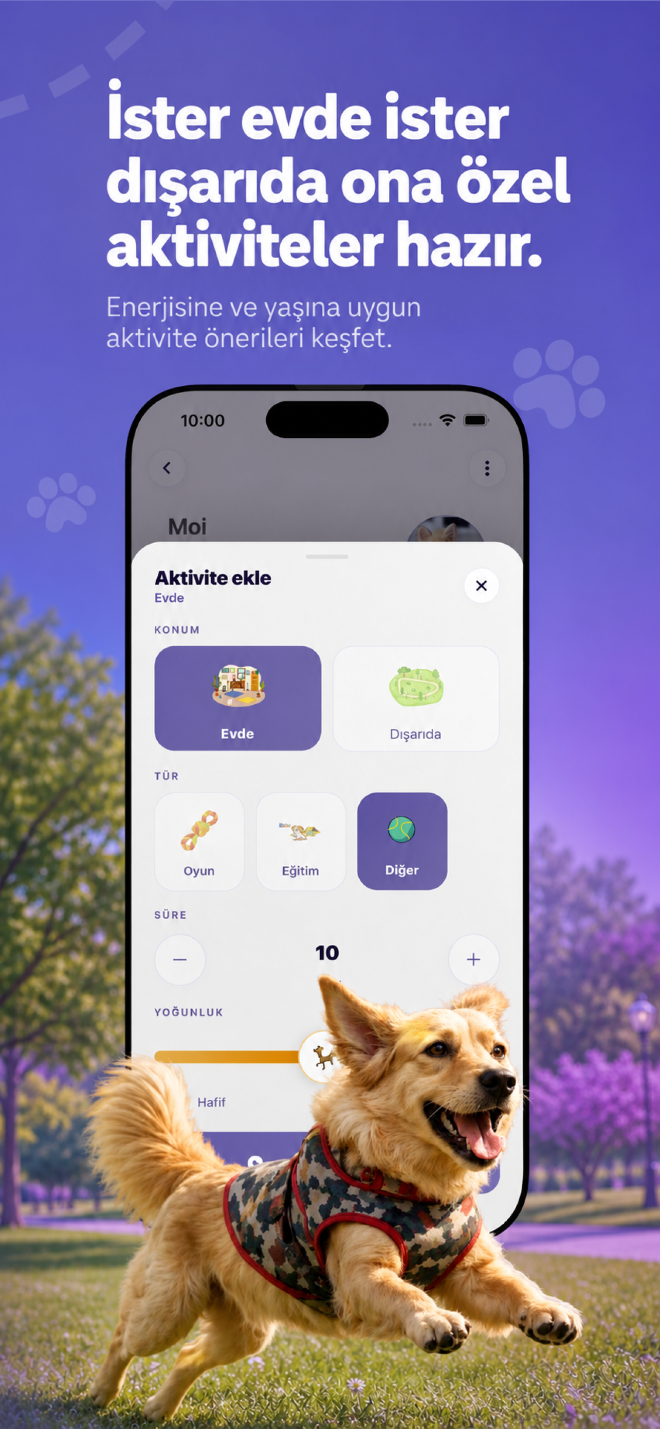 Vetigo: Akıllı Pet Asistanı