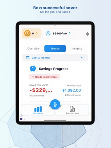Penny Echo AI Finance Tracker iPad screenshot