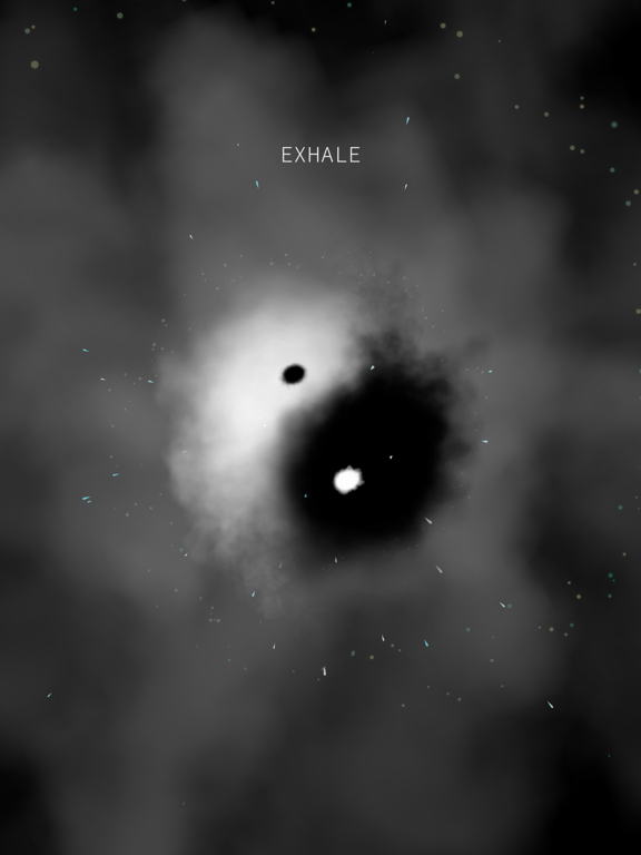 Screenshot #6 pour Yin·Yang