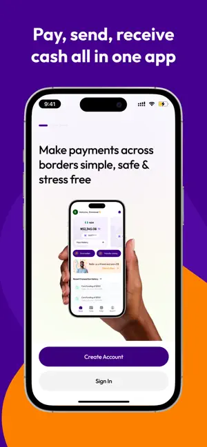 BorderlessPay. screenshot 2