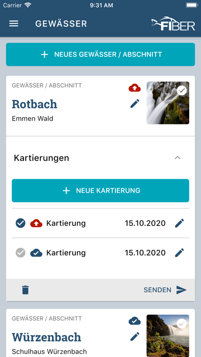 FIBER Laichzeit Screenshot