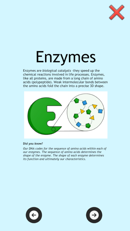 #6. Enzyme Pathways (iOS) By: Run Through PTY LTD
