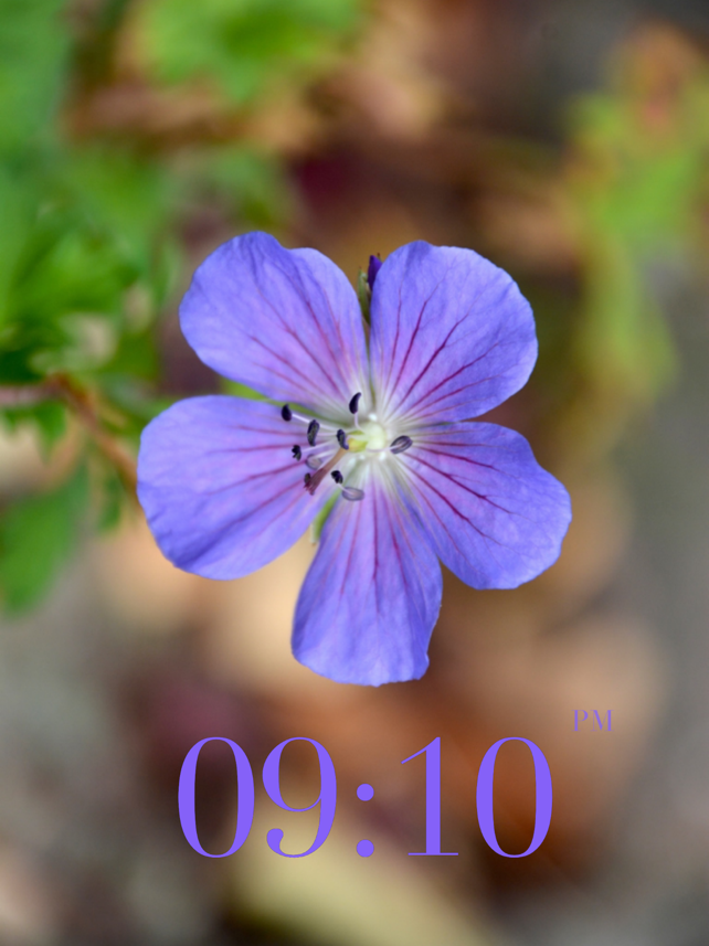 My Own Clock Screenshot