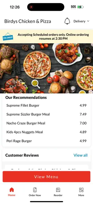 Birdys Chicken and Pizza screenshot 2