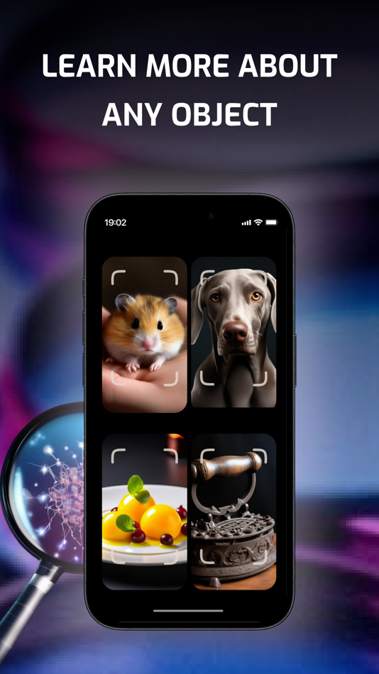 #4. Identify Anything: What Is it? (iOS) 由: Sviataslau Lobach