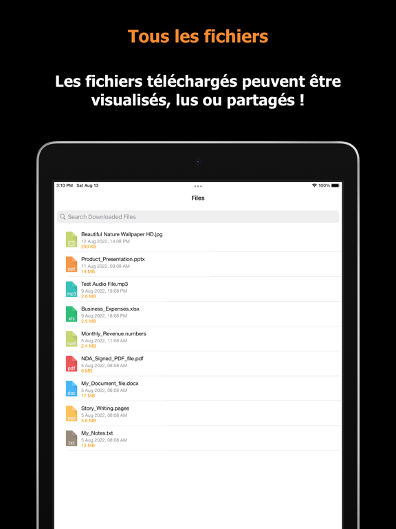 Screenshot #6 pour Blaze : Navigateur hors ligne