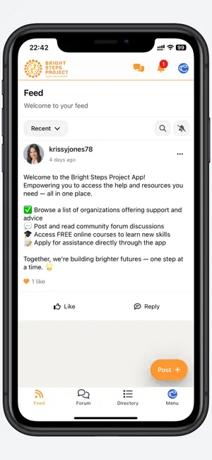 Bright Steps Project screenshot 1