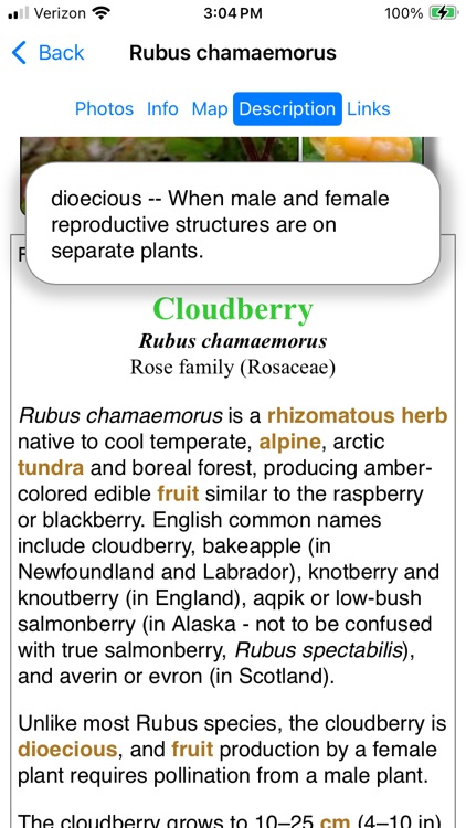 Newfoundland Wildflowers screenshot-7