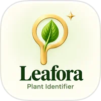 Leafora:植物识别与养护