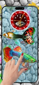 Koi Pond Fish - Live Aquarium screenshot