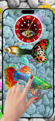 Koi Pond Fish - Live Aquarium screenshot