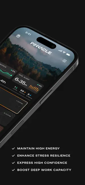 Pinnacle Black screenshot 2