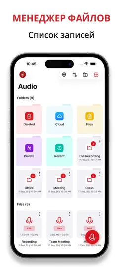 Скриншот диктофон : Voice Recorder App на iPhone 1