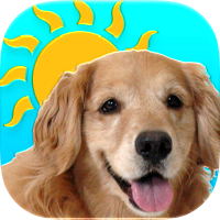 Sundoggy