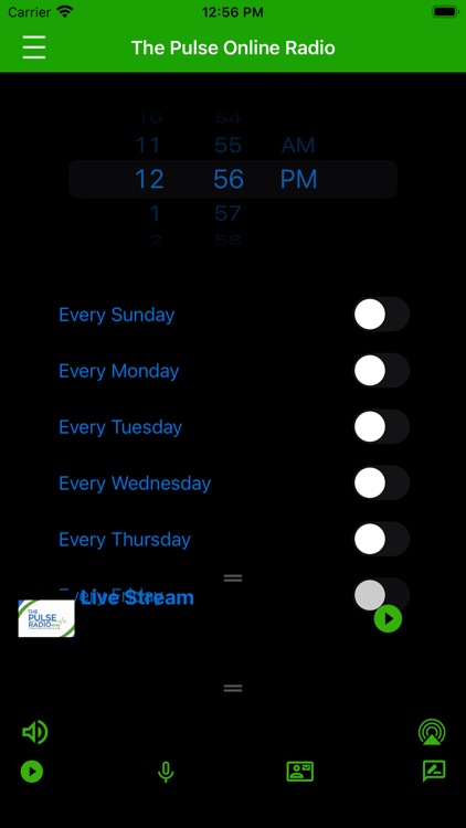 The Pulse Online Radio screenshot-4
