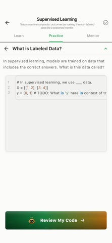 Kuki: AI Coding Mentor screenshot