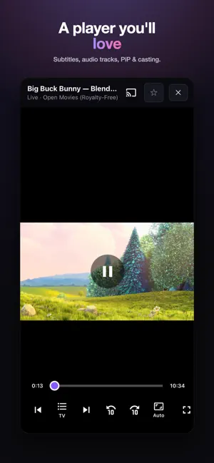 Miravu: M3U Media Player screenshot 3