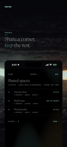 Synap.ing Screenshot 9 of 10