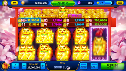 Golden City Casino Screenshot