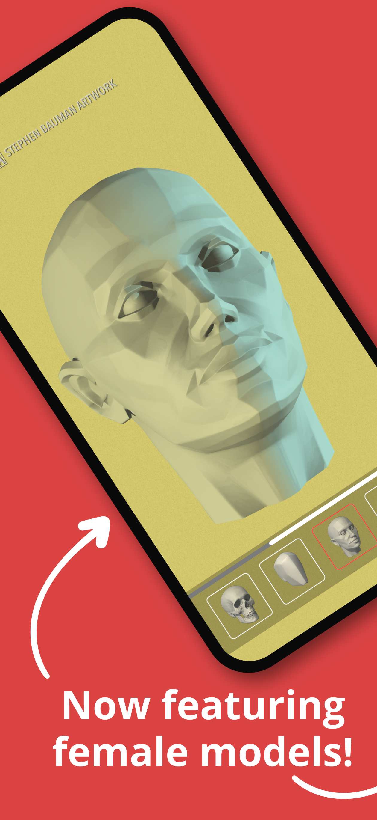 Head Study