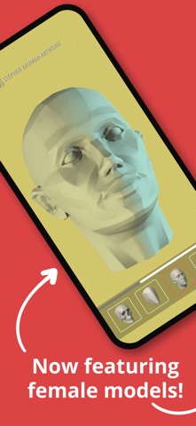 Head Study Screenshot 5 of 6